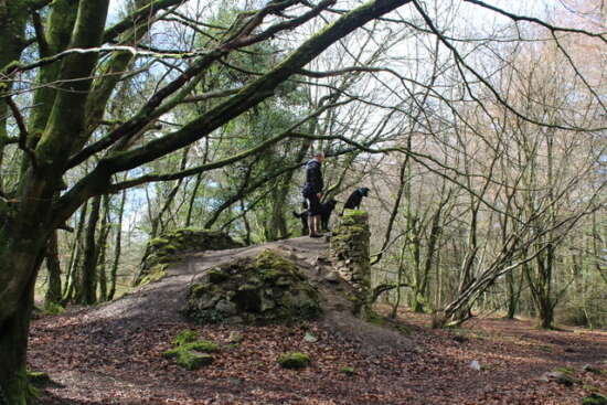 Garnsey's Tower (ruin), Blackborough NE