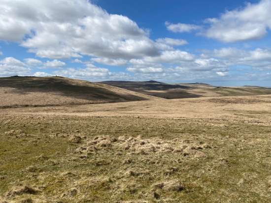Dartmoor1