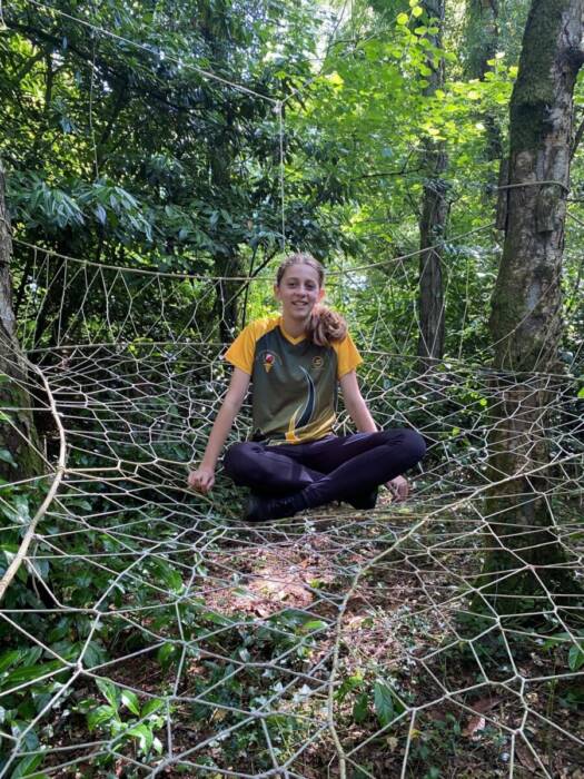 In the Spiders Web