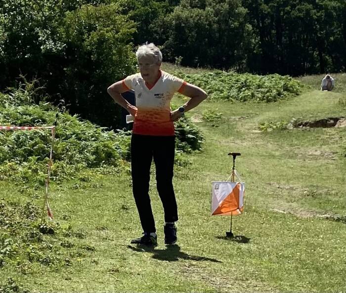 Midsummer on the Gower 2026 1