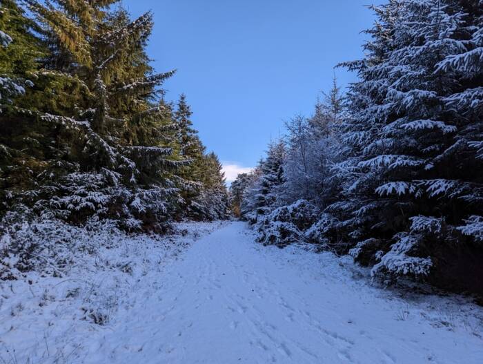 Snowy Roadwater