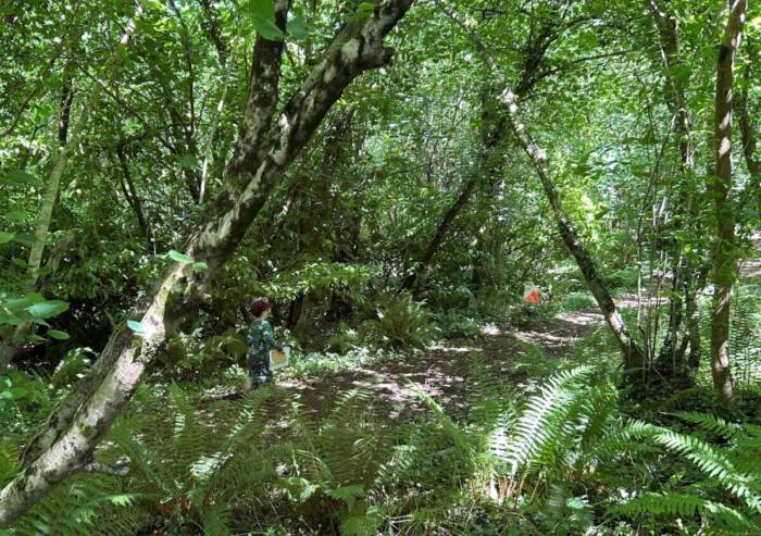 Spot the Orienteer