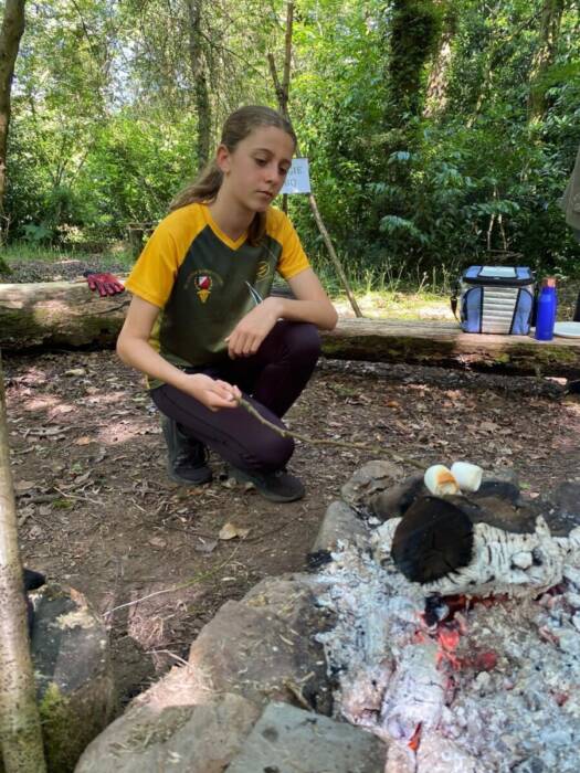 Toasted Marsh Mallows