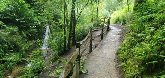 Ninesprings 1