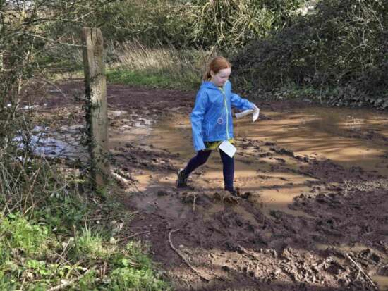 Roughmoor in February 1