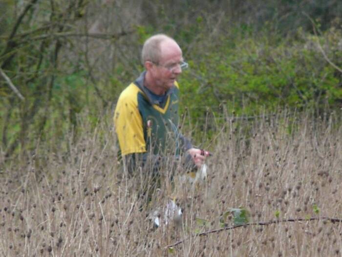 Ray amongst the reeds