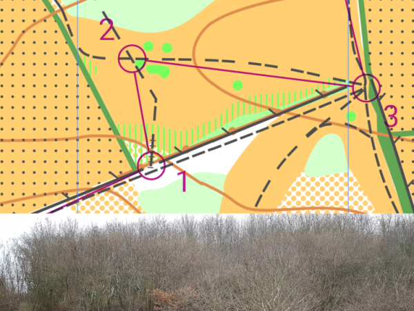 Where To Put The Kite