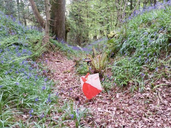 Staple Hill (W), re-entrant