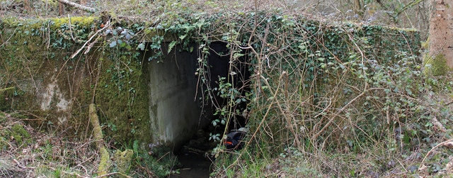 Tunnel, Ruggin Nature Reserve