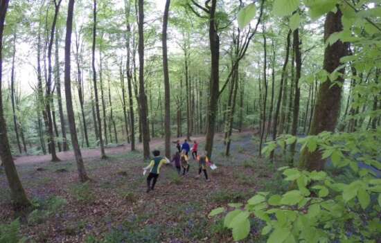 Nice runnable downhill, Neroche