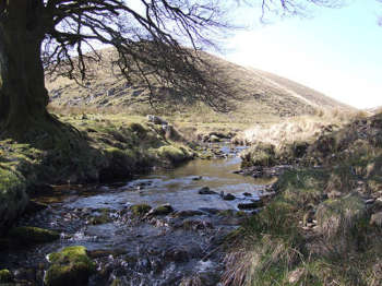 Hoccombe Water (nr confluence with Lanacombe)