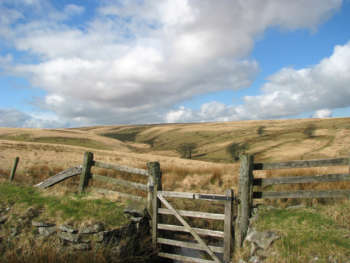 gate at Trout Hill