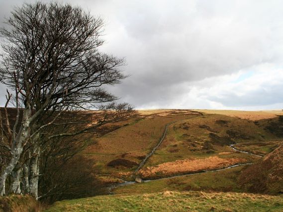 Barrow at Tom's Hill