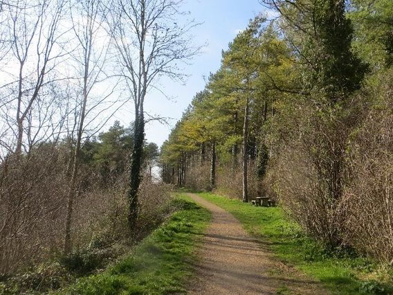 path towards open area, Combe Hill