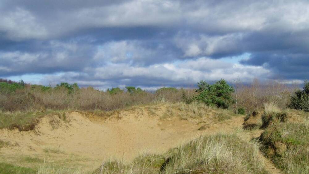 Merthyr Mawr Dark Sky