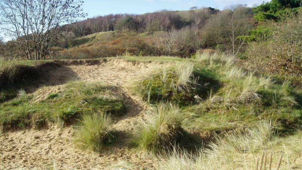 Merthyr Mawr- scrub and dunes