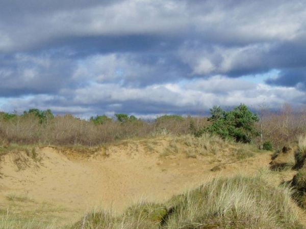 Merthyr Mawr Dark Sky