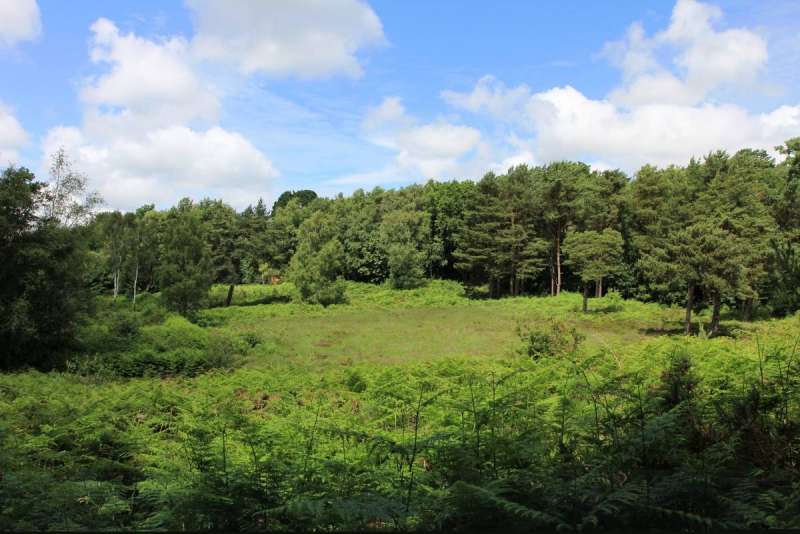 Broadstone Heath, adjacent to the rec