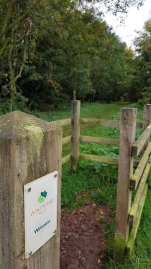 View from the car park