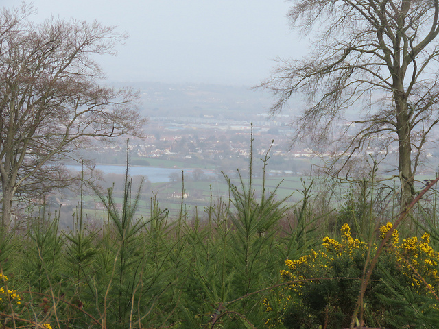 View towards Bridgwater