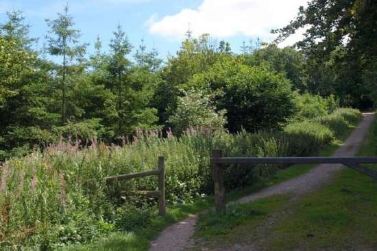 entrance to Wind Down