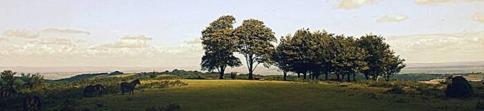 Seven Sisters Steve Bridger
