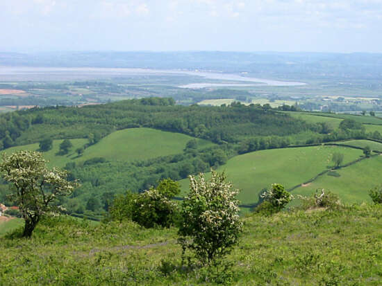 View from Cothelstone Hill