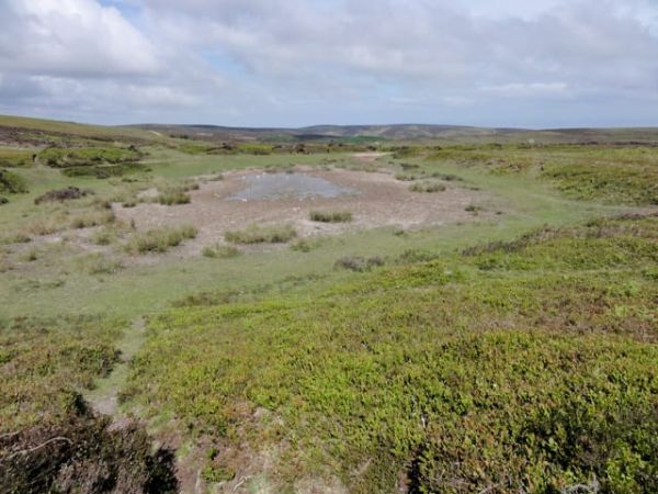 Wilmot's Pool & surrounds