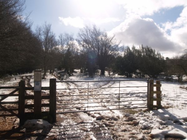 Drove road snow, near Triscombe Stone