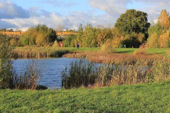 Rough Moor / Silk Mills