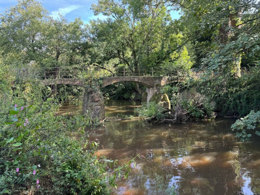 River Tone at Netherclay