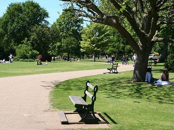 lawns at Vivary Park