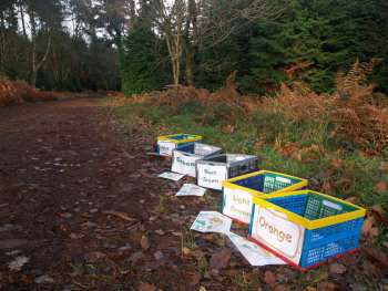 Map boxes at the start on Croydon Hill