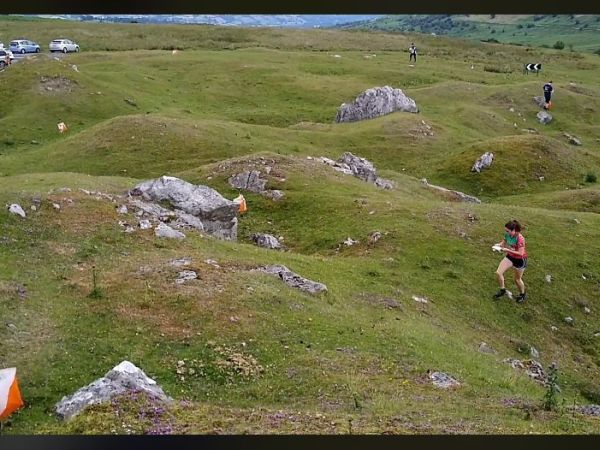 Micr O at Llangynidr- lots of kites in a small area
