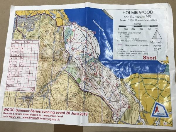 Holme Wood, Lake District