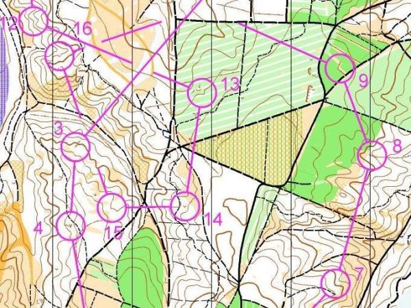 Haywood Warren, Brown course (2013)