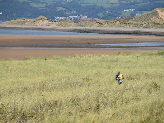 A lung-bursting long leg towards the end at Whiteford after a series of zig zags round the partially forested dunes & burrows to the rear