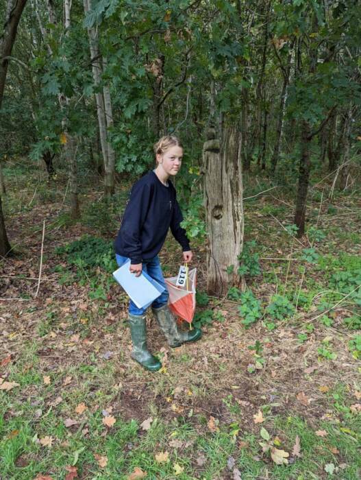 Al putting out the controls