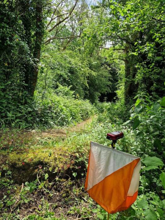 Control in the woods