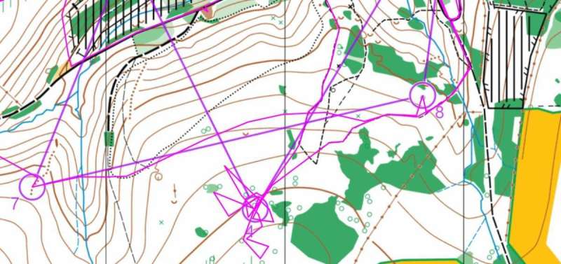 Gavin ran back to assembly to report the stray control 134 (shown as no. 4 on the Blue course)