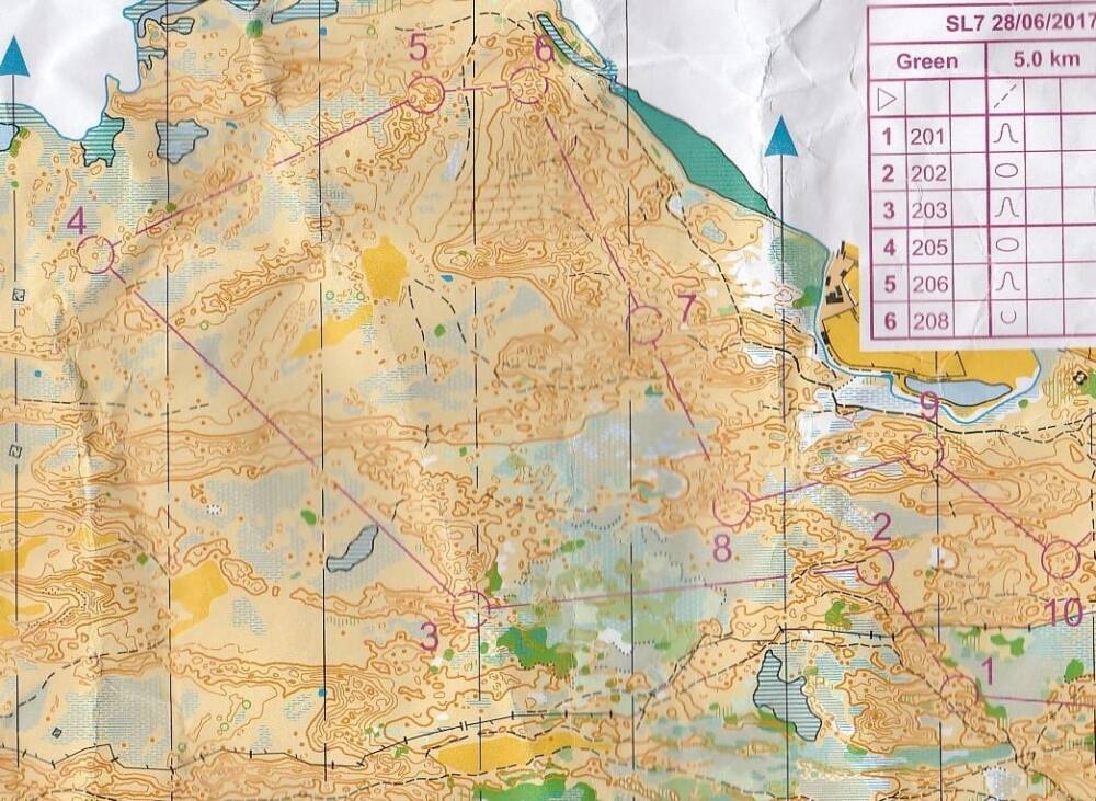 Some long legs on the Green, Kenfig North