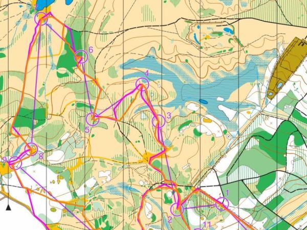 Holmsley '16- Green course- John Trayler (pink) & Pete Akers (orange)