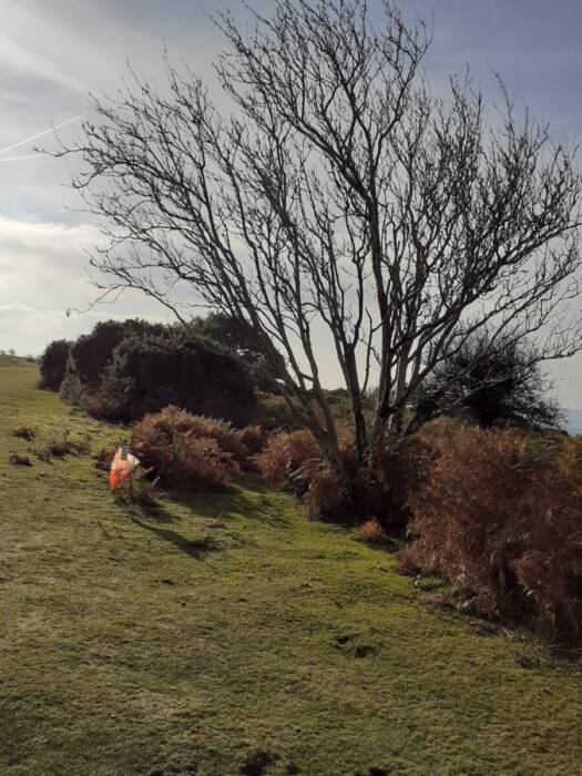 A beautiful Autumn Day