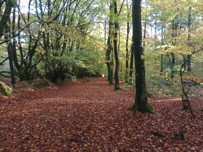 IMG 20251024 100139 HDR