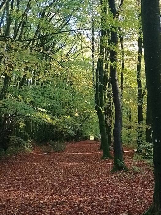 IMG 20251024 100146 HDR