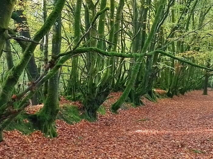 IMG 20251024 100718 HDR