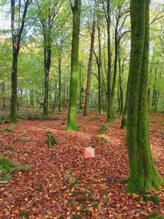 IMG 20251024 101120 HDR