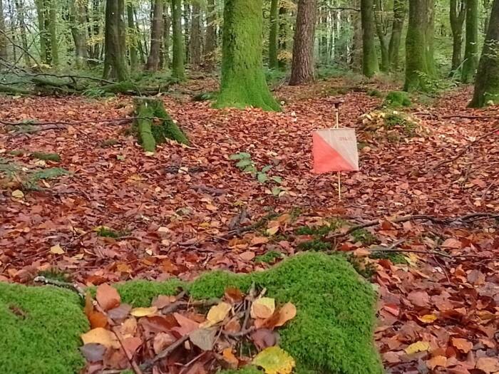 IMG 20251024 101133 HDR