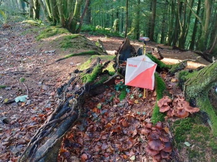 IMG 20251024 110810 HDR