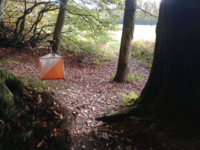 IMG 20251024 125953 HDR